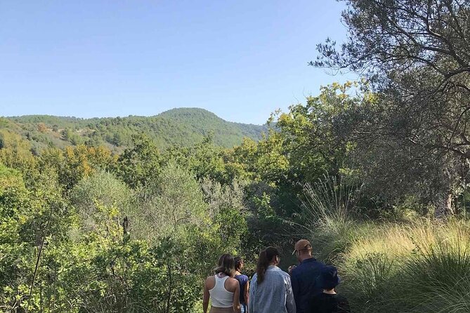 Cooking Class in the Countryside With Simona - Cancellation Policy