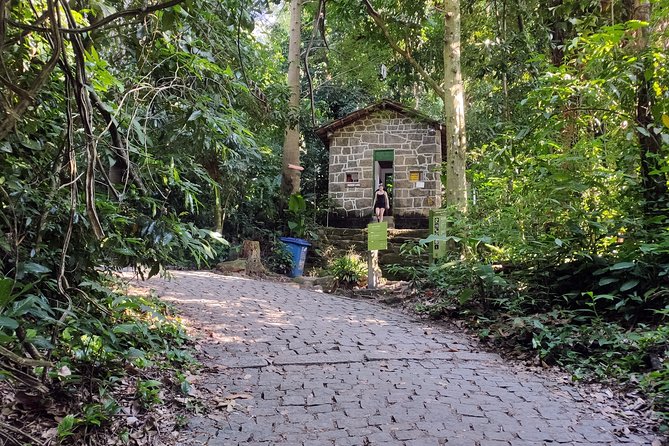 Corcovado Hiking Tour in Rio De Janeiro - Hiking Details