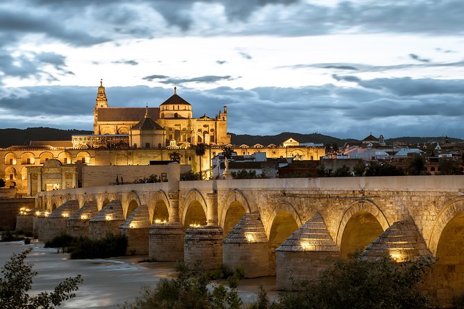 Cordoba With Mosque-Cathedral Private Tour From Granada - Comfortable Minivan Transportation