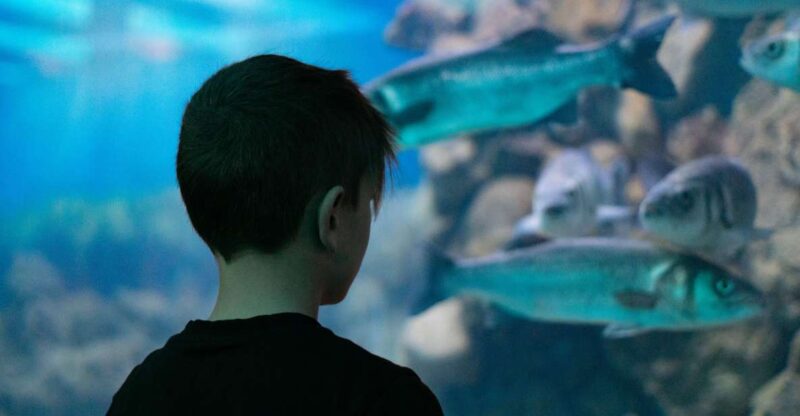 Corfu: Aquarium Entry Ticket With Guided Tour - Guided Tour Experience