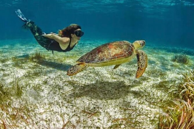 Costa Maya Reef Snorkeling Excursion + Beach Day by Lachilangaloense Freeshuffle - Customer Feedback