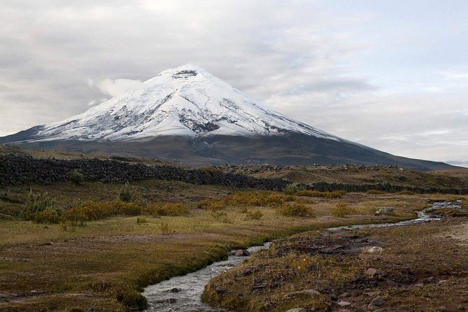 Cotopaxi National Reserve Bike and Hike Day-Trip - Group Size and Duration