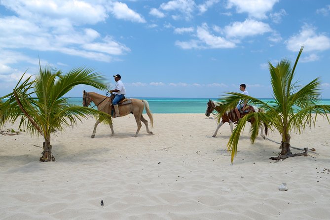 Cozumel Beach Horseback Riding Tour - Inclusions and Meeting Details