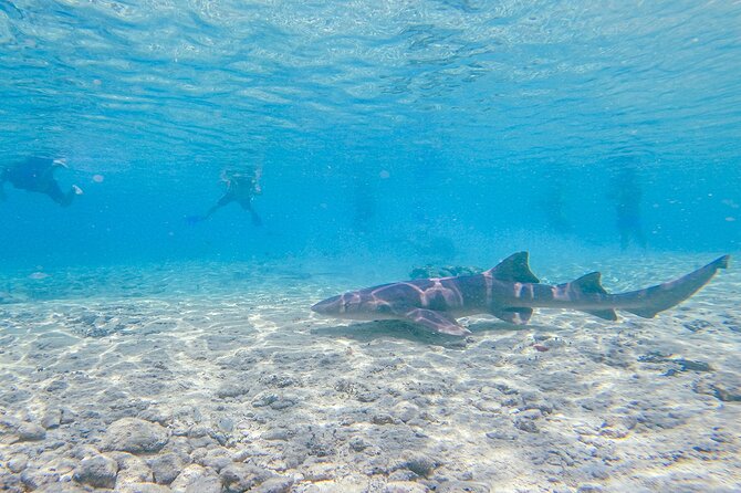 Cozumel Driving Tour Jade Cavern & Beach Break® - Itinerary Highlights