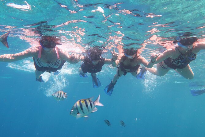 Cozumel Luxury Sailing & Snorkeling With Lunch and Open Bar Onboard - Inclusions