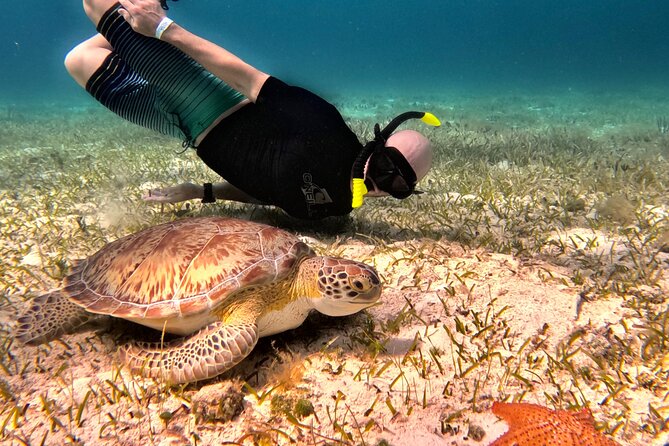 Cozumel Private Snorkeling and Charter Experience - Meeting and Pickup Information
