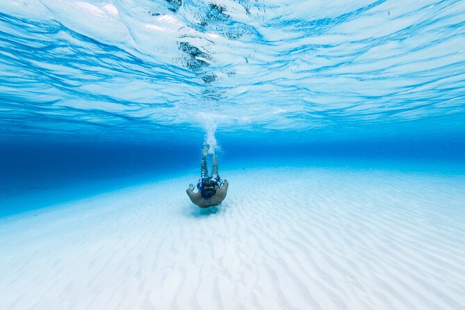 Cozumel Snorkel Tour: Coral Reefs, El Cielo & Beach Break® - Health and Safety