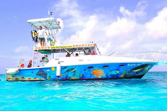 Cozumel Snorkeling Tour at Palancar & Colombia Reefs and El Cielo - Meeting and Pickup