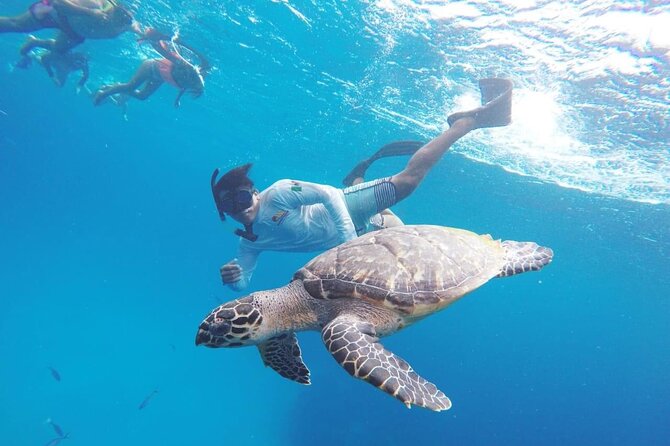 Cozumel Snorkeling Tour: Palancar, Columbia and El Cielo Reefs - Meeting and Transportation