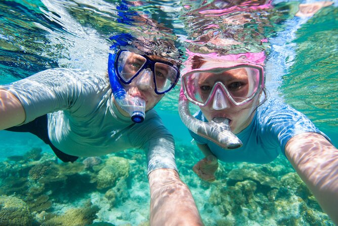 Cozumel Snorkeling Tour to Palancar Reef and El Cielo - Health and Safety Information
