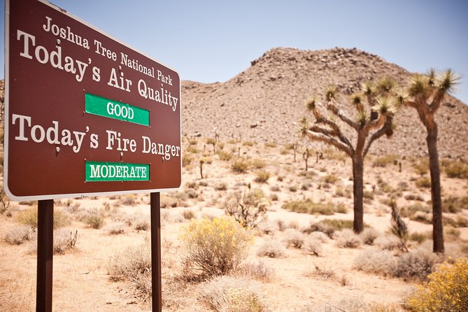 CreativeSoul ScavengerHunt(Hidden Valley,Joshua Tree)Remote Host - Interactive Elements of the Experience