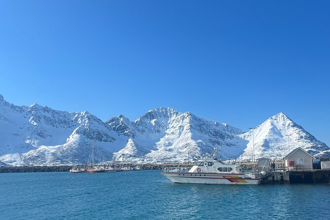 Cruise to the Fishing Village Øksfjord Including Lunch - Meeting and End Points