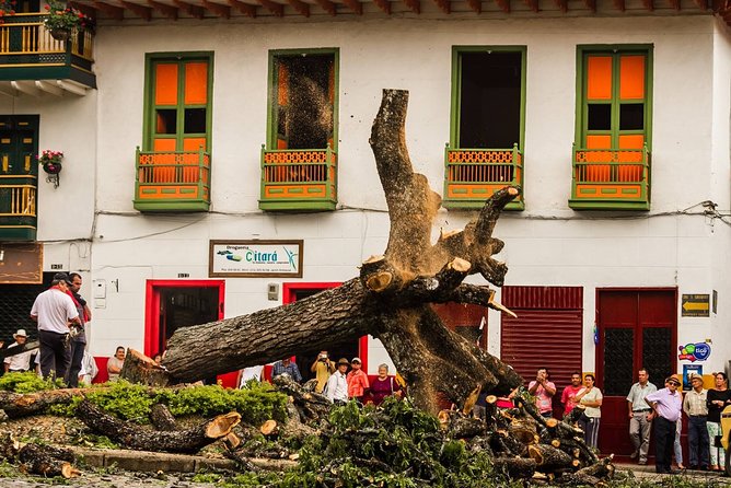Cultural Garden Town + Coffee Farm Experiences Day Tour - Inclusions