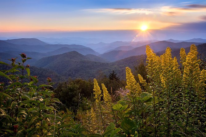 Custom Half-Day Photo Tour With Photography Lessons From Asheville - Inclusions and Logistics