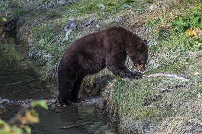 Custom Wildlife Tour - Inclusions and Accessibility