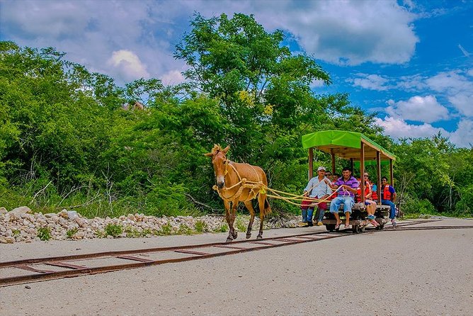 Cuzama Cenotes Adventure Day Trip - Itinerary