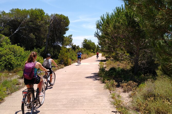 Cycle Albufera Lake, Rice Fields Paella and Boat Ride With Beach - Itinerary Overview