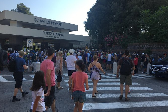 Daily Excursion Full Day 8 Hours ( Vesuvio Pompei) - Traveler Photos and Experiences