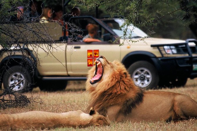 Daily Pilanesberg National Park Private Shuttle Services - Pickup and Arrival Procedures