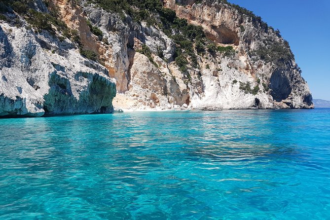 Daily Sailing Trip in the Orosei Coves With Lunch - Included in the Experience
