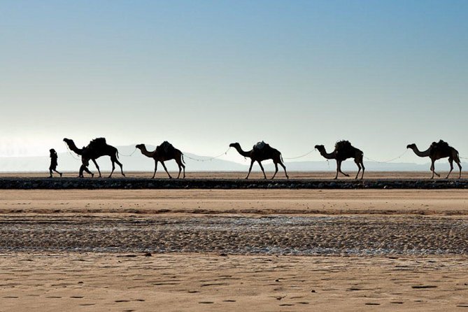 Danakil Depression And Lalibela 5 Days Tours - Activity Descriptions
