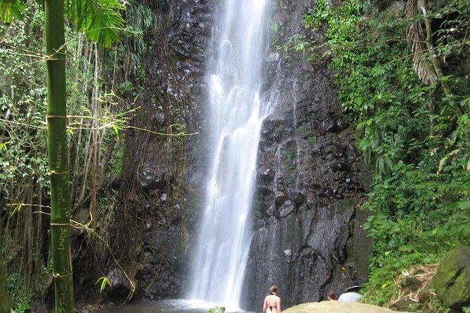 Dark View Falls Half-Day Tour - Health and Safety Guidelines