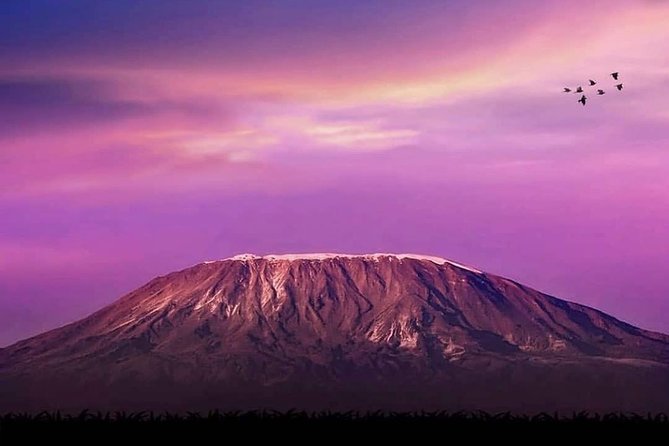 Day Hike to Mount Kilimanjaro (Mandara Hut) - Meeting and Pickup Details