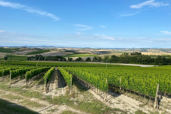 Day of Tastings in the Land of Super Tuscans From Lucca - Indulging in Tuscanys Finest Wines
