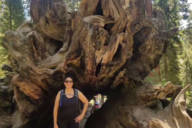 Day Tour to Kings Canyon National Park - Meeting Point and Pickup