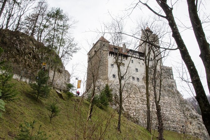 Day Trip Bear Sanctuary, Bran Castle, Rasnov Fortress From Brasov - Bear Sanctuary Visit