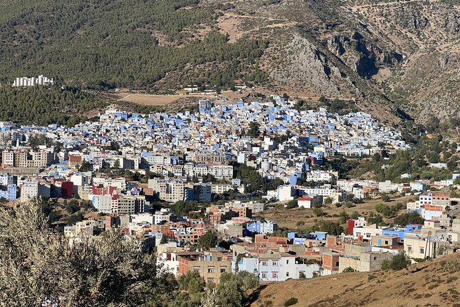 Day Trip From Casablanca to Chefchaouen With Tour Guide Included - Pricing and Booking