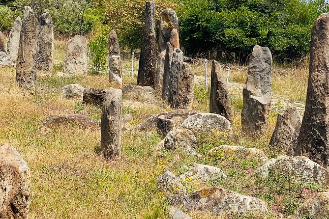 Day Trip to Adadi Rock and Tiya Archeological Excursion - Inclusions of the Trip
