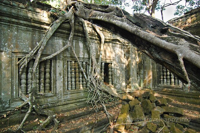 Day Trip to Beng Mealea Temple and Kampong Khleang From Siem Reap - Transportation Details
