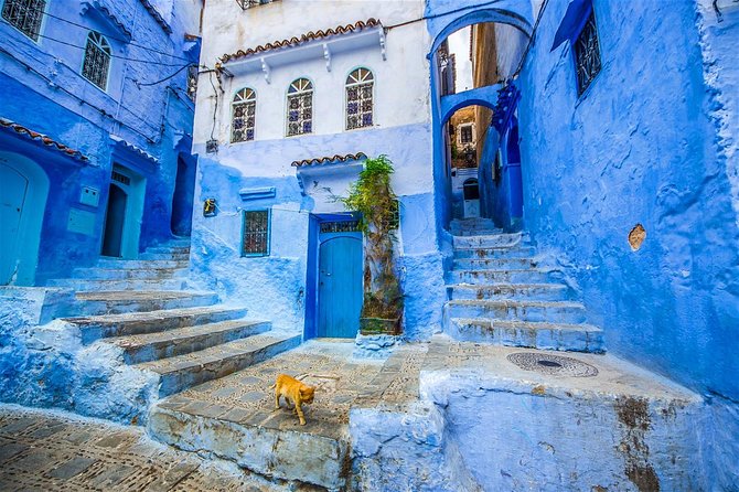 DAY TRIP to Chefchaouen From FEZ - Transportation and Itinerary