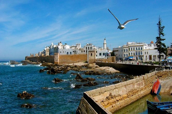 Day Trip To Essaouira - Refreshment and Sightseeing Stops