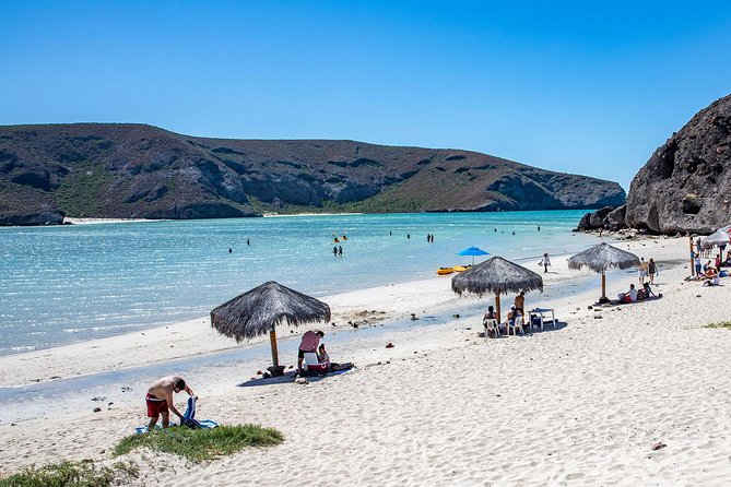 Day Trip to La Paz & Balandra Beach From Cabo San Lucas - Itinerary and Destinations