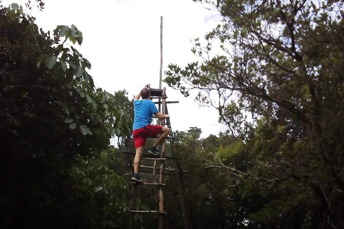 Day Trip To Lupanga Peak - Meeting and Pickup