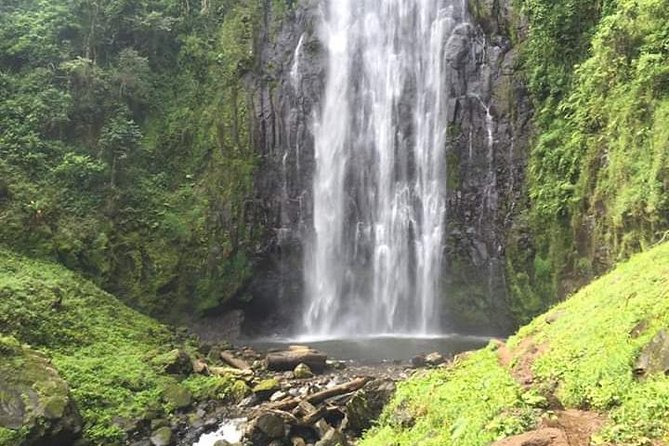 Day Trip to Materuni Waterfalls and Coffee Tour - Meeting and Pickup Details