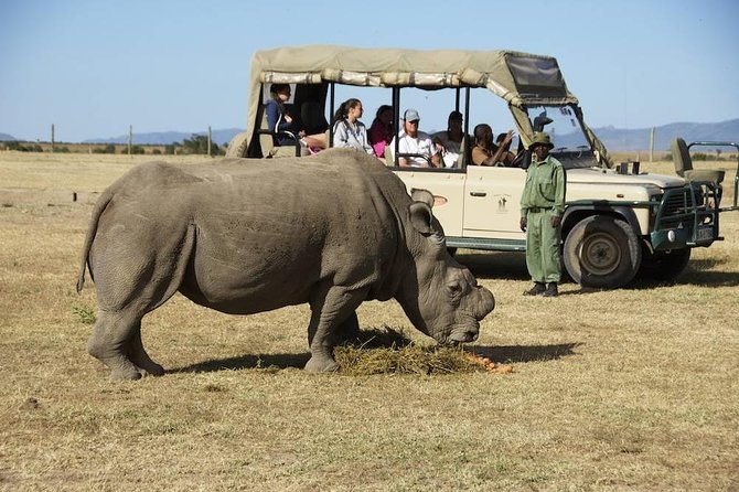 Day Trip to Ol Pejeta Conservancy From Nairobi - Tour Highlights and Inclusions