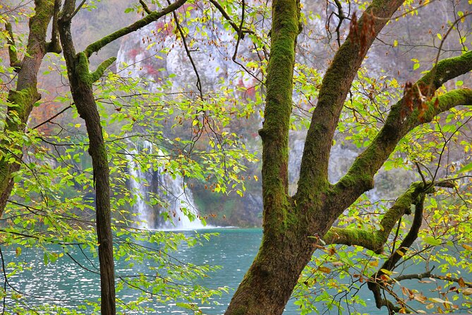 Day Trip to Plitvice Lakes National Park From Sibenik - Pickup and Schedule
