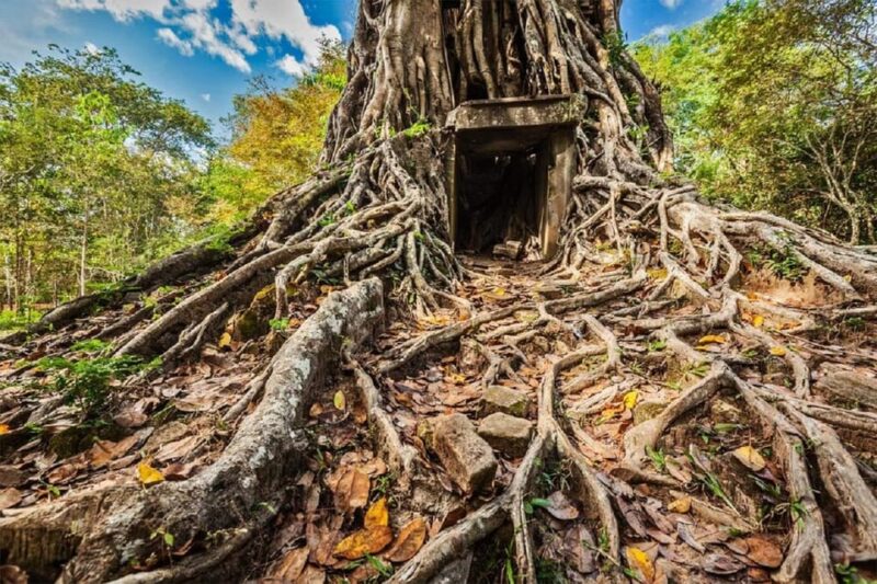 Day Trip to Sambor Preikuk, Kuhak Nokor & Spider Market - Itinerary Highlights