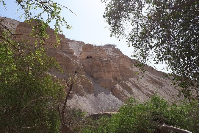 Day Trip to the Dead Sea Valley With Garytheguide - Transportation and Logistics