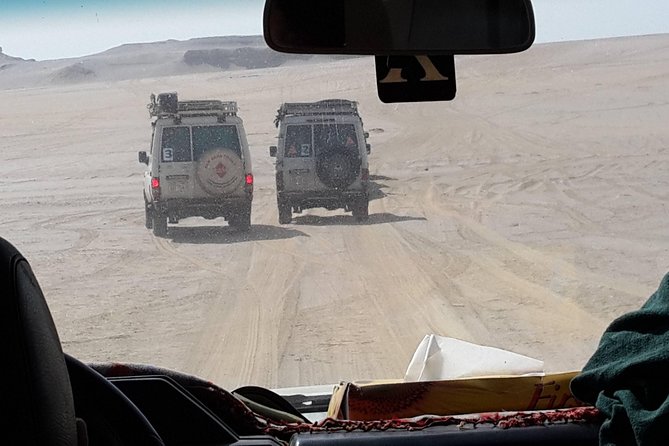 Day Trip to Valley of Whales From Cairo - Wadi El Hitan - Highlights of the Trip