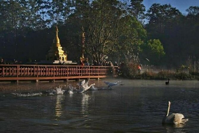Day Trip Tour From Mandalay To Pyin Oo Lwin - Pickup Information and Logistics