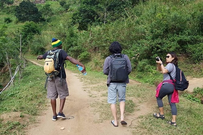 Day Trip Tour to Choma Waterfalls - Getting to the Waterfalls