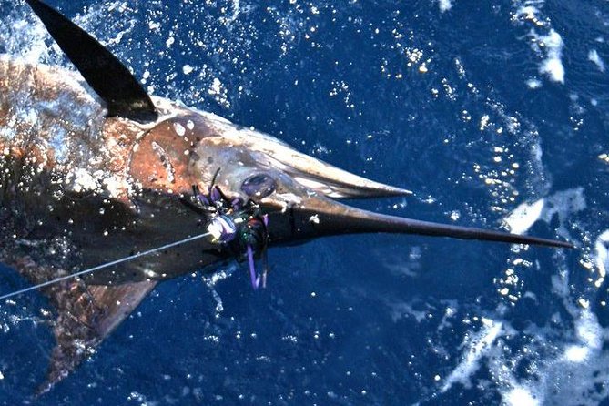Deep Sea Fishing Private Boat Charter in San Juan - Fishing Destinations
