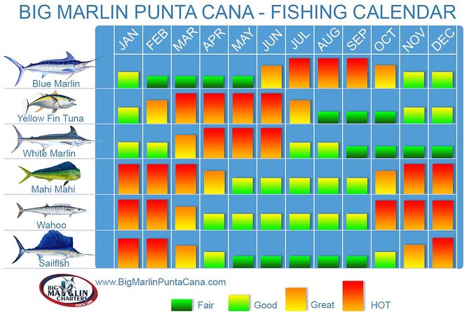 Deep Sea Fishing - Tour Inclusions