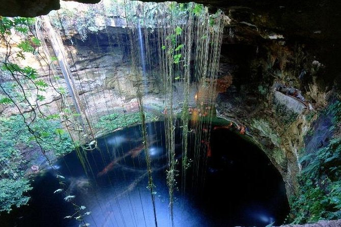 Deluxe Adventure! 2 Sacred Cenotes, Chichen Itza and Valladolid From Tulum City - What to Expect