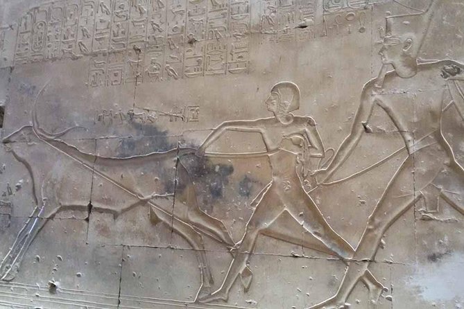 Dendera and Abydos Temples Day Tour From Luxor - Discovering Dendera Temple