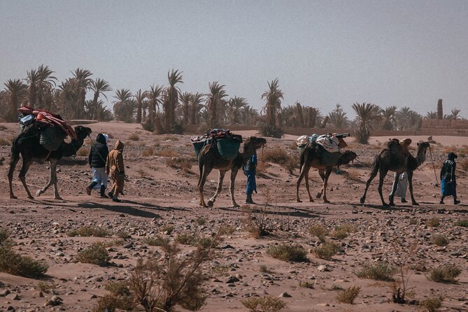 Desert Hike for 6 Days and 5 Nights - Transportation Details